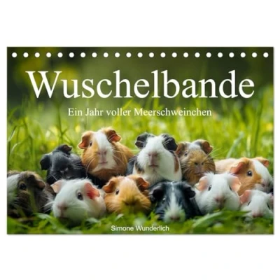 Abbildung von Wuschelbande Ein Jahr voller Meerschweinchen (Tischkalender 2025 DIN A5 quer), CALVENDO Monatskalender