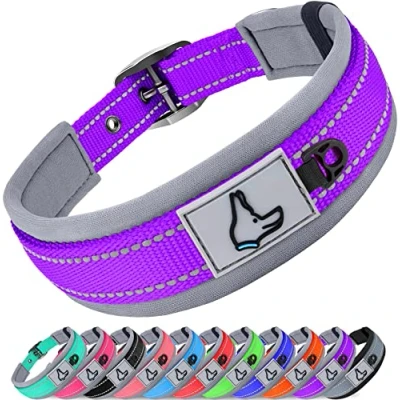 Abbildung von Joytale Halsband Hund, Weich Hundehalsband Gepolstert Neopren Hunde für Mittelgroße Hunde, Nylon Reflektierend Breit Halsbänder, Lila