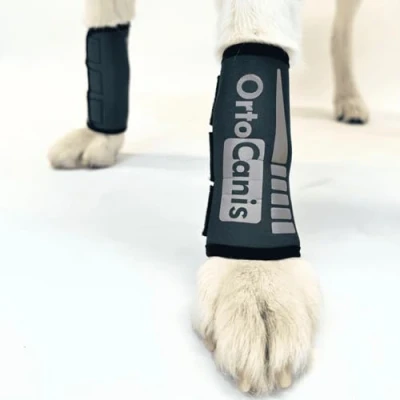 Abbildung von Ortocanis Karpalgelenk Bandage für Hund Arthrose, Bänder und Sehnenverletzungen oder Agility Hunde Hergestellt aus Neopren ARD Größe XS 9 11 cm