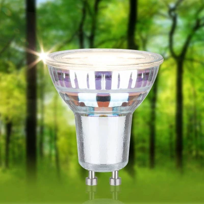 Abbildung von Paulmann 291.92 Eco Line Standard 230V LED Reflektor 450lm 2,5W 3000K Silber