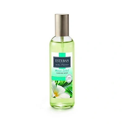 Abbildung von ESTEBAN PARIS Universum Natur Umweltspray 100 ml Monoi Blume