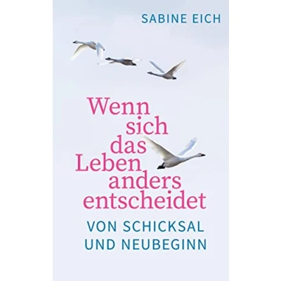 Abbildung von Wenn sich das Leben anders entscheidet: Von Schicksal und Neubeginn