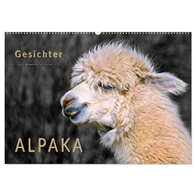 Abbildung von Alpaka Gesichter (Wandkalender 2025 DIN A2 quer), CALVENDO Monatskalender