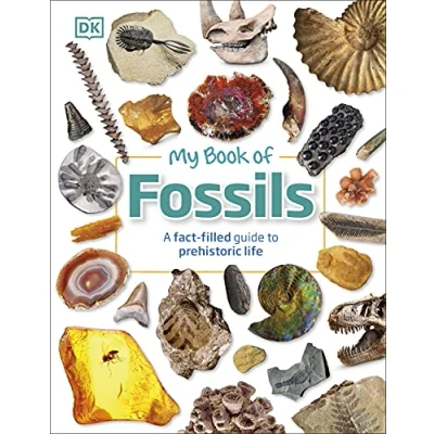 Abbildung von My Book of Fossils: A fact filled guide to prehistoric life