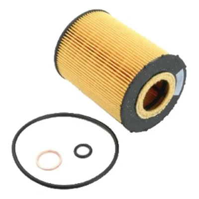 Abbildung von ASHIKA 10 ECO081 Ölfilter Filtereinsatz BMW: 5 Limousine, Touring, X5