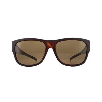 Abbildung von Polaroid PLD 9003/S Havana Sonnenschutzdach Polarisierte Sonnenbrille