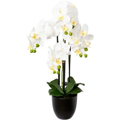 Abbildung von Creativ green Kunstorchidee &quot;Phalaenopsis im Resintopf&quot;, mit Real Touch Blüten