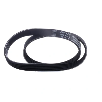 Abbildung von CONTITECH 5PK847 Keilrippenriemen 847 5 VOLVO: V50, C70 2 Cabriolet, HONDA: Jazz Schrägheck, FORD: Focus Schrägheck