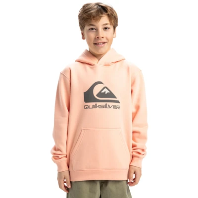 Abbildung von Quiksilver Big Logo Hoodie Pullover aus Fleece Kind
