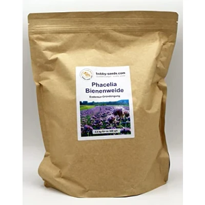 Abbildung von Bodenkur Phacelia Bienenfreund einjährige Gründüngung und Bienenweide 2,5 KG