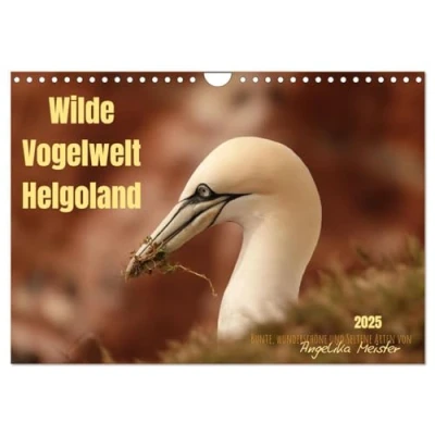 Abbildung von Wilde Vogelwelt Helgoland (Wandkalender 2025 DIN A4 quer), CALVENDO Monatskalender