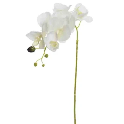 Abbildung von Dadeldo Living &amp; Lifestyle Kunstblume Seidenblumen Orchidee Stiel 80cm Creme