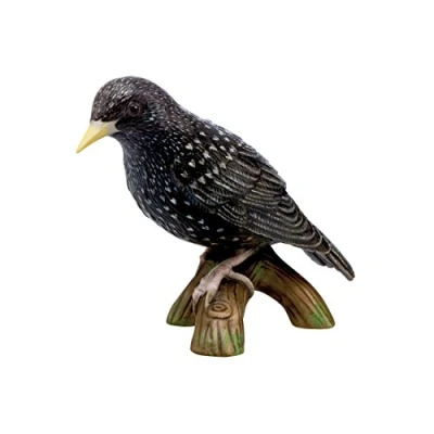 Abbildung von Goebel Vogel des Jahres 2018 &amp; Star (klein)