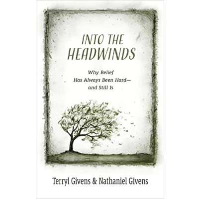 Abbildung von Into the Headwinds: Why Belief Has Always Been Hard and Still Is