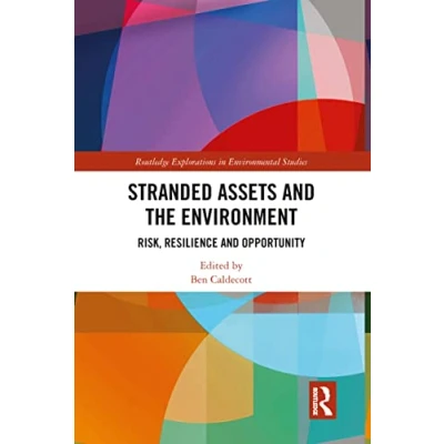 Abbildung von Stranded Assets and the Environment: Risk, Resilience Opportunity (Routledge Explorations in Environmental Studies)
