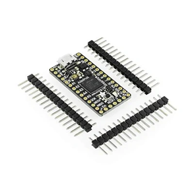 Abbildung von Adafruit ItsyBitsy M0 Express mit CircuitPython &amp; Arduino IDE