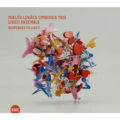 Abbildung von Responses To Ligeti