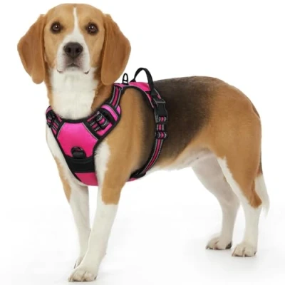 Abbildung von Eagloo Hundegeschirr Kleine Hunde, Anti Zug mit Reflexstreifen und Kontrolle, Verstellbar, Einstellbar Langlebige Brustgeschirr Hund, Geeignet zum Gehen Joggen, Rosenrot, S