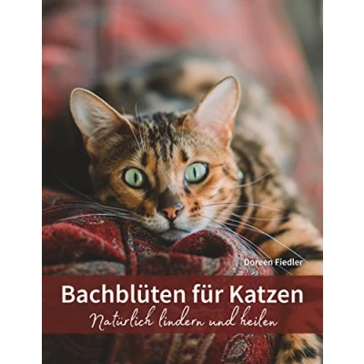 Abbildung von Bachblüten für Katzen: Natürlich lindern und heilen