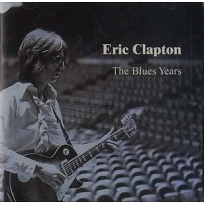 Abbildung von The Blues Years