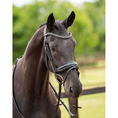 Abbildung von HB Showtime Zaum Las Vegas Schwarz/Schwarz Funkeln Warmblut Agradi.deVerkauft von Agradi