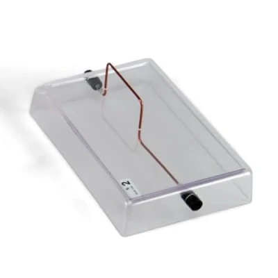 Abbildung von 3B Scientific U8491791 Gerader Leiter auf Acrylsockel