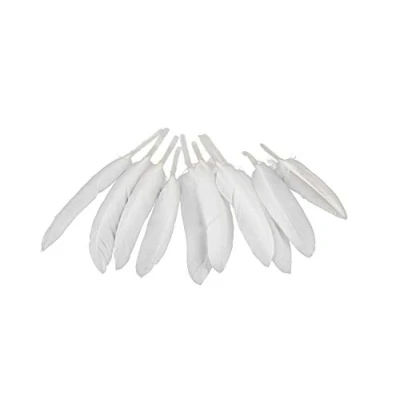 Abbildung von 10 Indianerfedern ca. 15cm (weiß 029) // Dekofedern Bastelfedern Masken Federn Schmuckfedern Vogelfedern