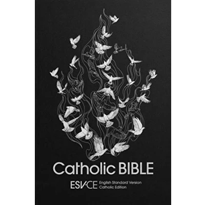 Abbildung von ESV CE Catholic Bible, Anglicized: English Standard Version Edition
