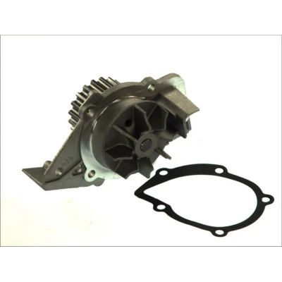 Abbildung von THERMOTEC D1P045TT Wasserpumpe 20 mit Dichtung mechanisch FIAT: Ducato II Pritsche/Fahrgestell, Bus, Kastenwagen