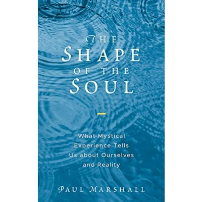 Abbildung von the Shape of Soul: What Mystical Experience Tells Us about Ourselves and Reality