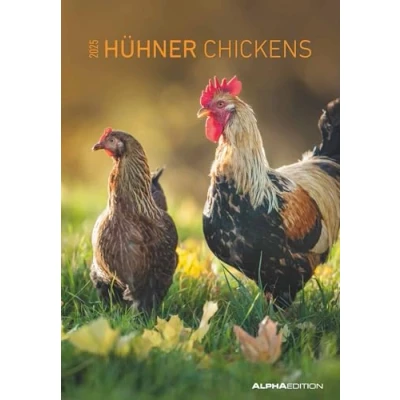 Abbildung von Alpha Edition Hühner 2025 Bildkalender, 23,7x34cm, Kalender mit amüsanten Abbildungen, Pollenflugkalender, Ferientermine DE/AT/CH und internationalem Kalendarium