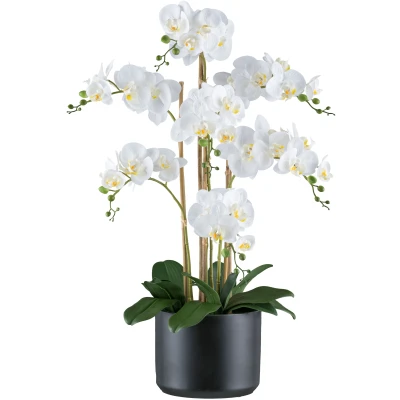 Abbildung von Creativ green Kunstorchidee &quot;Orchidee Phalaenopsis&quot;, mit Keramiktopf in matter Farbgebung