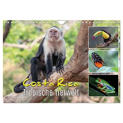 Abbildung von Costa Rica Tropische Tierwelt (Wandkalender 2025 DIN A4 quer), CALVENDO Monatskalender