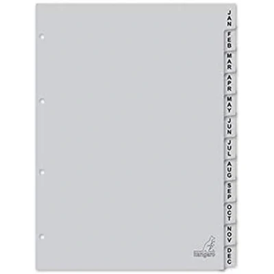 Abbildung von Register Kangaro A4 Buchstaben PP 120 micron 4r.12tlg jan dec