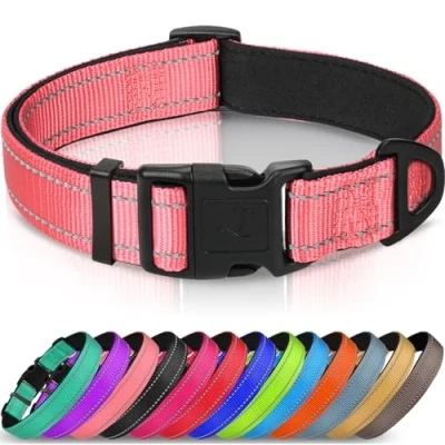 Abbildung von Joytale Halsband Hund, Gepolstertes Hundehalsband Breit aus Neopren Nylon Verstellbar für Kleine Hunde, Weich und Reflektierend Hundehalsbänder, S, Rosa