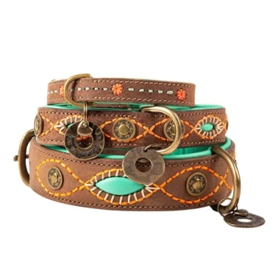 Abbildung von Dwam Halsband Joplin Braun&amp;Trkis&amp;Orange Hundehalsband 23 29 x 2 ...