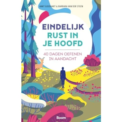 Abbildung von Eindelijk rust in je hoofd: 40 dagen oefenen aandacht