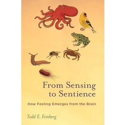 Abbildung von from Sensing to Sentience: How Feeling Emerges the Brain