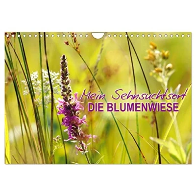 Abbildung von Mein Sehnsuchtsort, die Blumenwiese (Wandkalender 2025 DIN A4 quer), CALVENDO Monatskalender