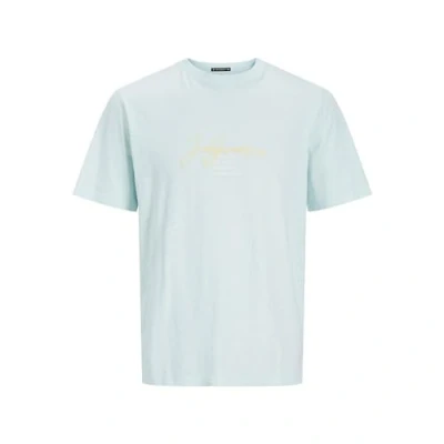 Abbildung von Jack &amp; Jones Rundhals Tshirt print, Herren, Größe: Medium, Skylight