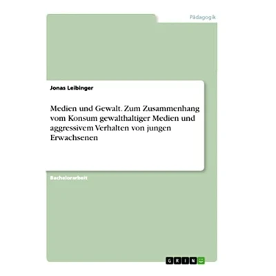 Abbildung von Medien und Gewalt. Zum Zusammenhang vom Konsum gewalthaltiger aggressivem Verhalten von jungen Erwachsenen