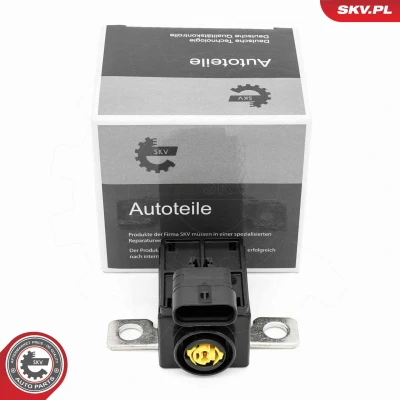 Abbildung von Sensor, Batteriemanagement ESEN SKV 96SKV326