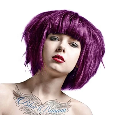 Abbildung von 2x La Riche Directions Haarfarbe 88ml (Plum Pflaume)