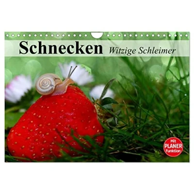 Abbildung von Schnecken. Witzige Schleimer (Wandkalender 2025 DIN A4 quer), CALVENDO Monatskalender