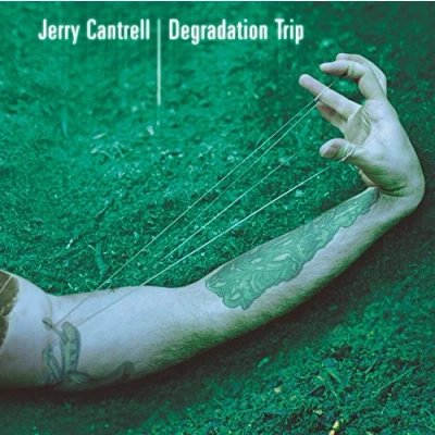Abbildung von Degradation Trip [Vinyl LP]
