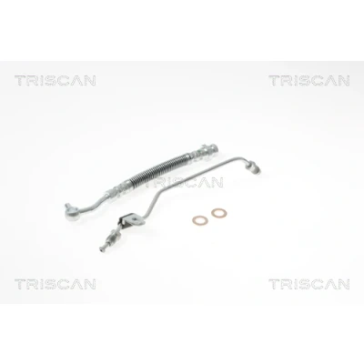 Abbildung von TRISCAN 8150 18229 Bremsschläuche 150 F10x1 KIA: Soul I