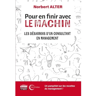 Abbildung von Pour en finir avec le Machin: Les désarrois d&#039;un consultant management