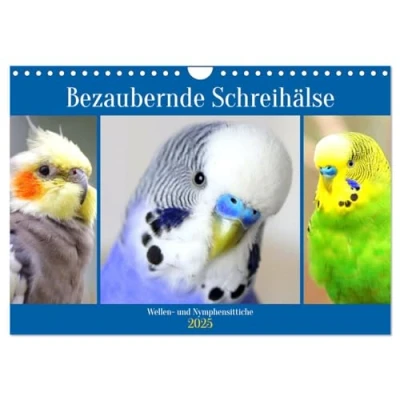 Abbildung von Bezaubernde Schreihälse. Wellen und Nymphensittiche (Wandkalender 2025 DIN A4 quer), CALVENDO Monatskalender