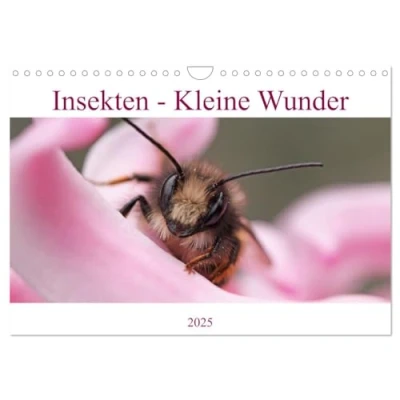 Abbildung von Insekten Kleine Wunder (Wandkalender 2025 DIN A4 quer), CALVENDO Monatskalender