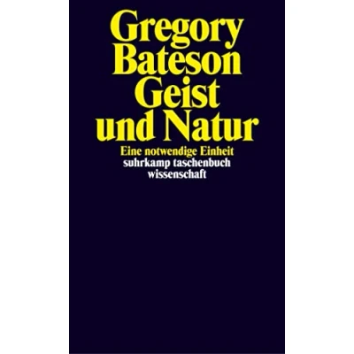 Abbildung von Geist und Natur: Eine notwendige Einheit (suhrkamp taschenbuch wissenschaft)